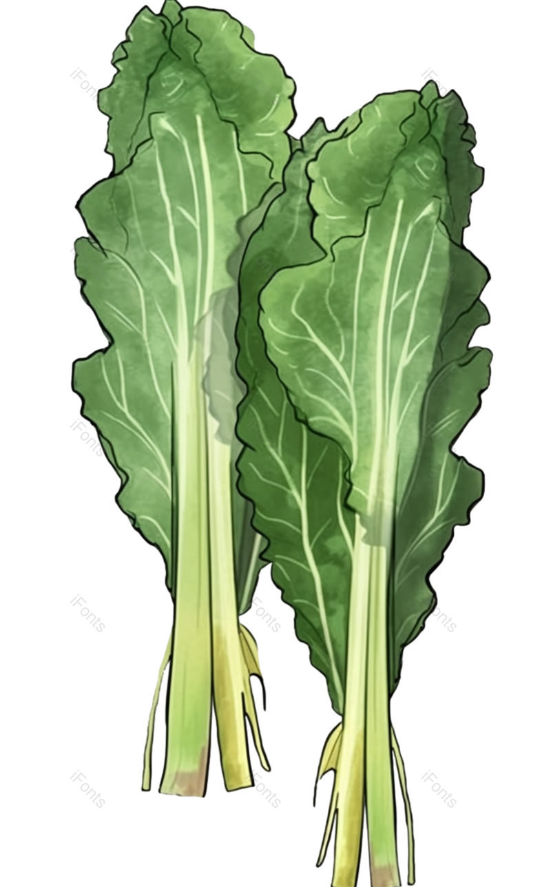 蔬菜图片,绿色元素,绿色蔬菜PNG,健康食品免抠素材